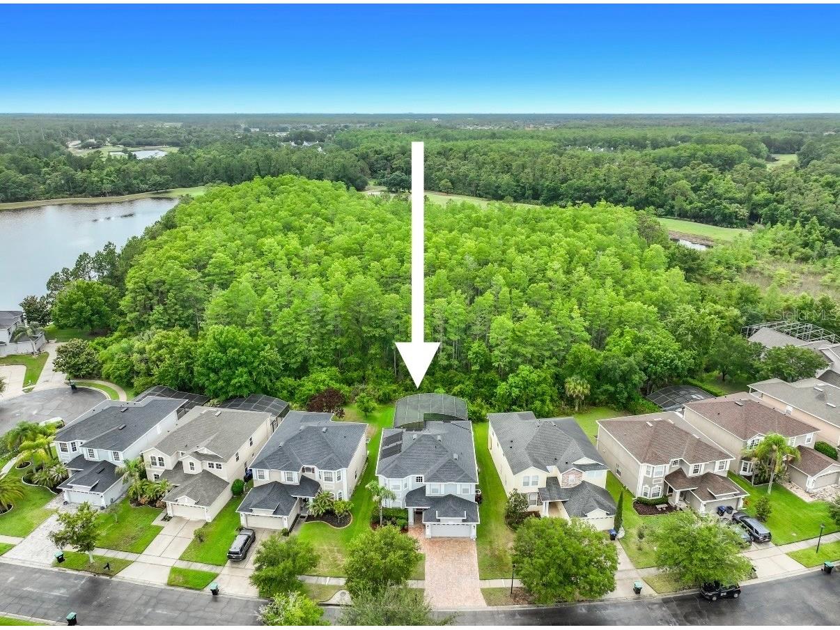 2627 Lakemoor Drive Orlando FL 32828 V4949378 image100