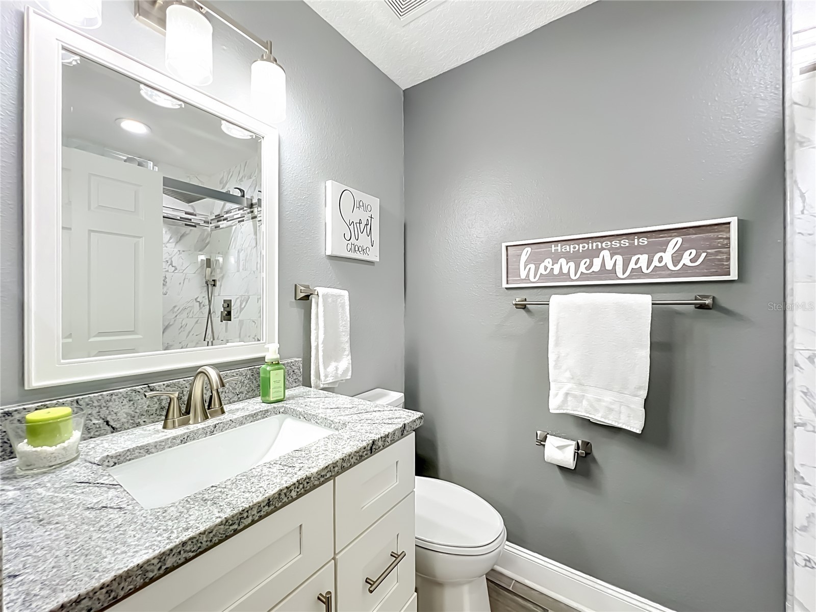 2627 Lakemoor Drive Orlando FL 32828 V4949378 image18