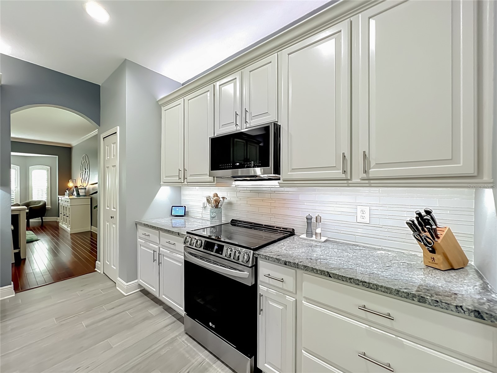 2627 Lakemoor Drive Orlando FL 32828 V4949378 image28