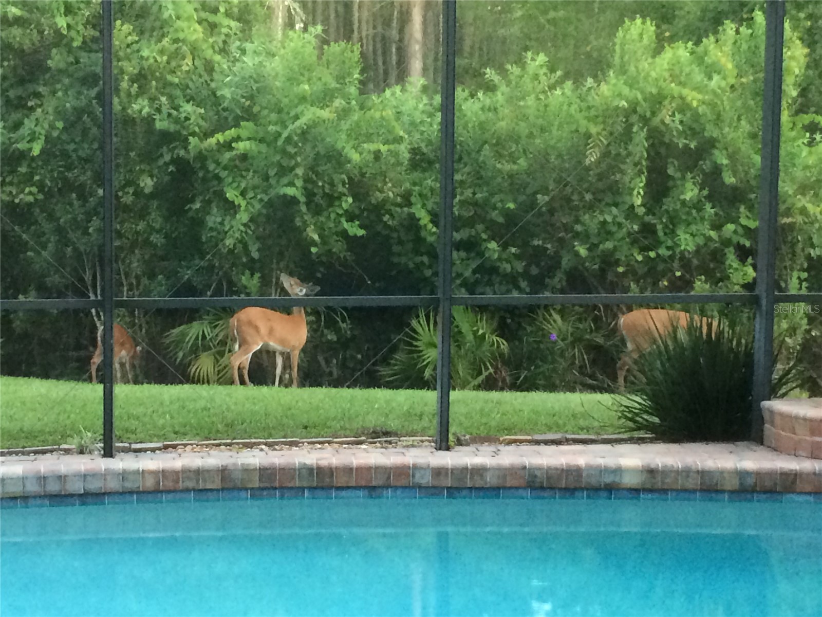 2627 Lakemoor Drive Orlando FL 32828 V4949378 image90