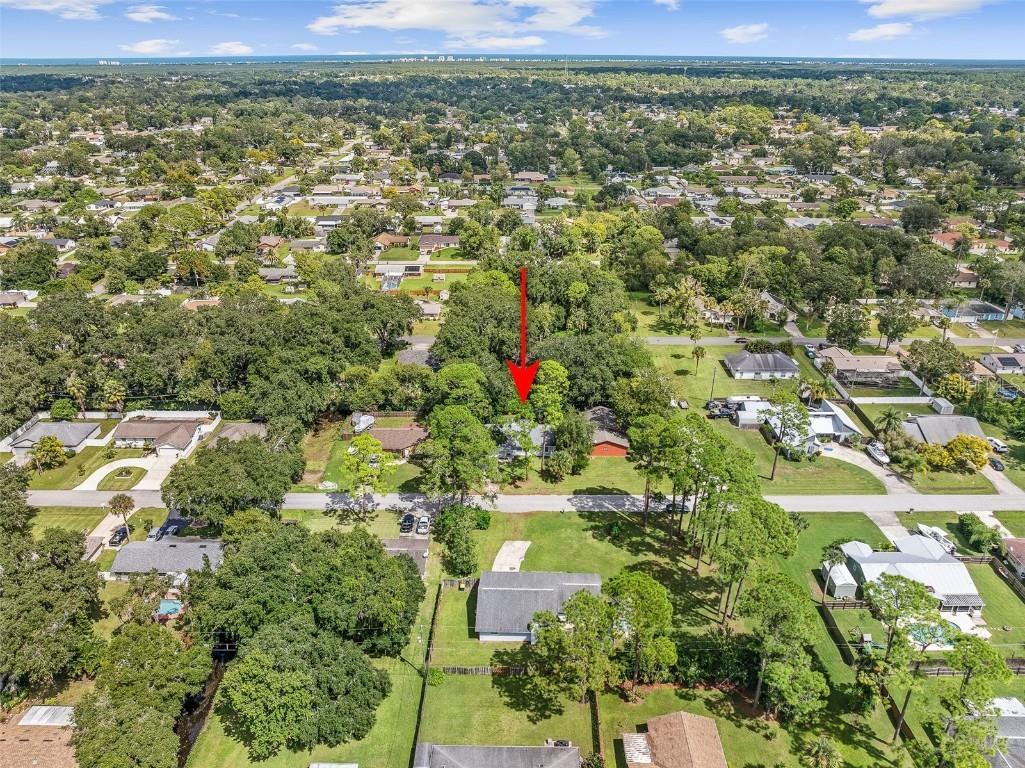 2627 Unity Tree Drive Edgewater FL 32141 FC313103 image49