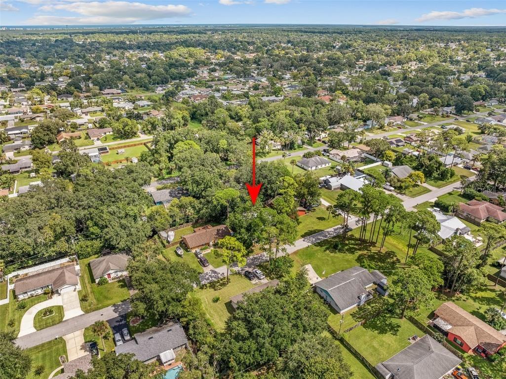 2627 Unity Tree Drive Edgewater FL 32141 FC313103 image50