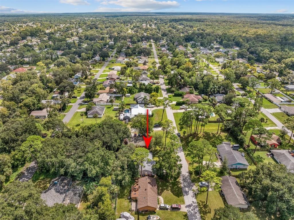 2627 Unity Tree Drive Edgewater FL 32141 FC313103 image51