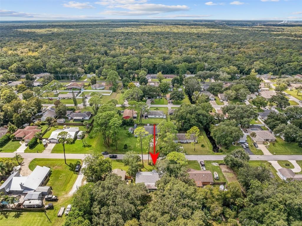 2627 Unity Tree Drive Edgewater FL 32141 FC313103 image54