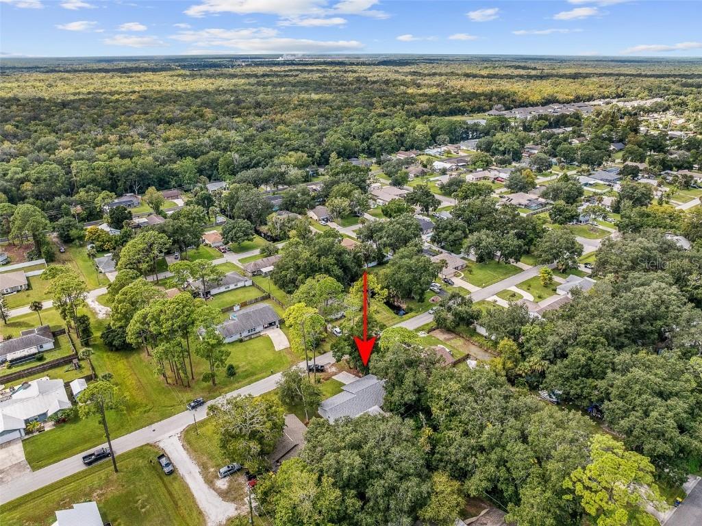 2627 Unity Tree Drive Edgewater FL 32141 FC313103 image55