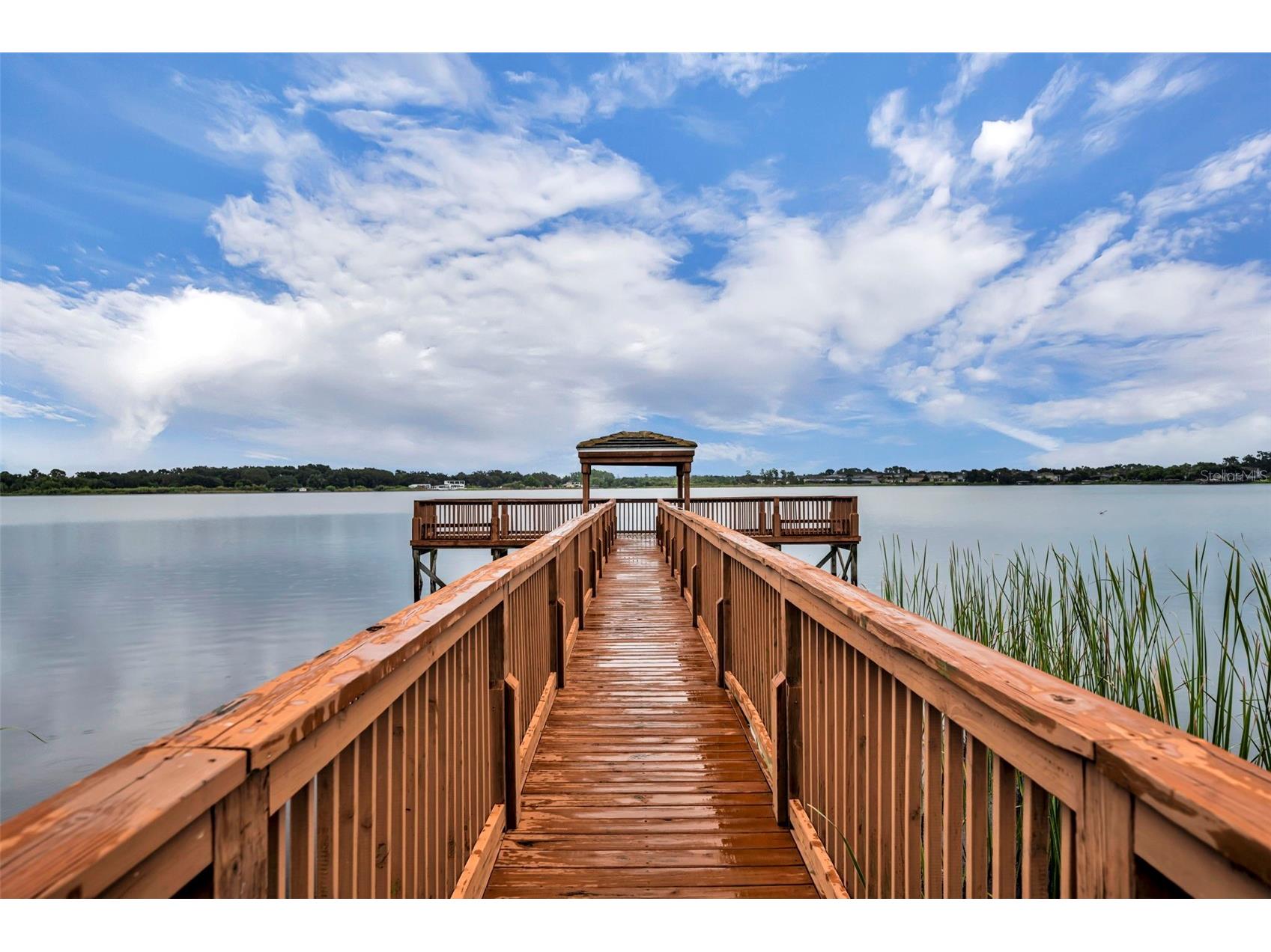 2628 Balforn Tower Way Winter Garden FL 34787 S5151318 image37