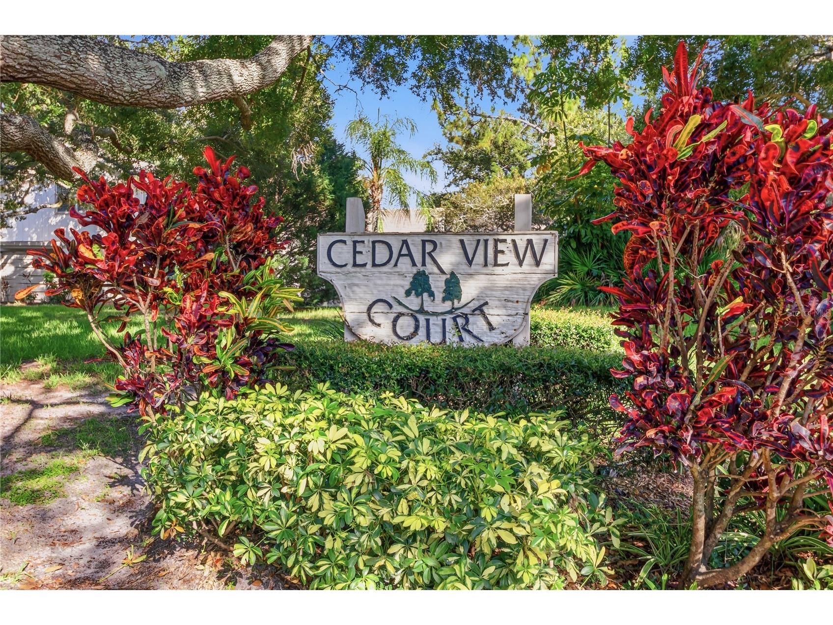 2628 Cedar View Court Clearwater FL 33761 TB8519094 image2