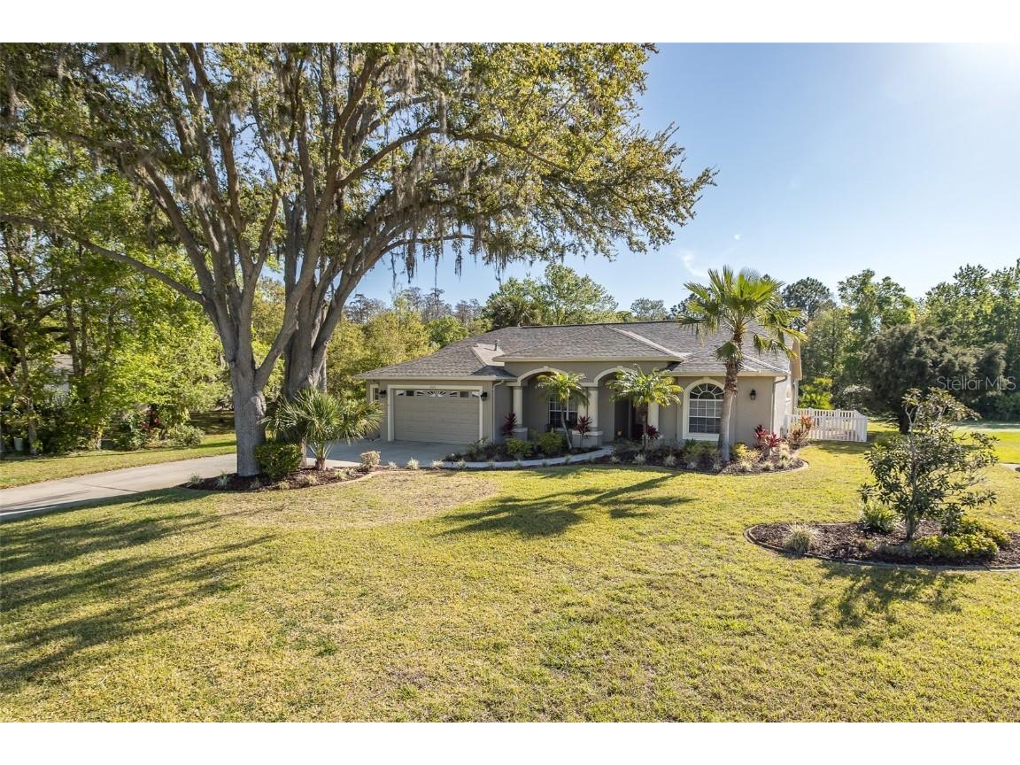 2628 Shipston Avenue New Port Richey FL 34655 W7873830 image1