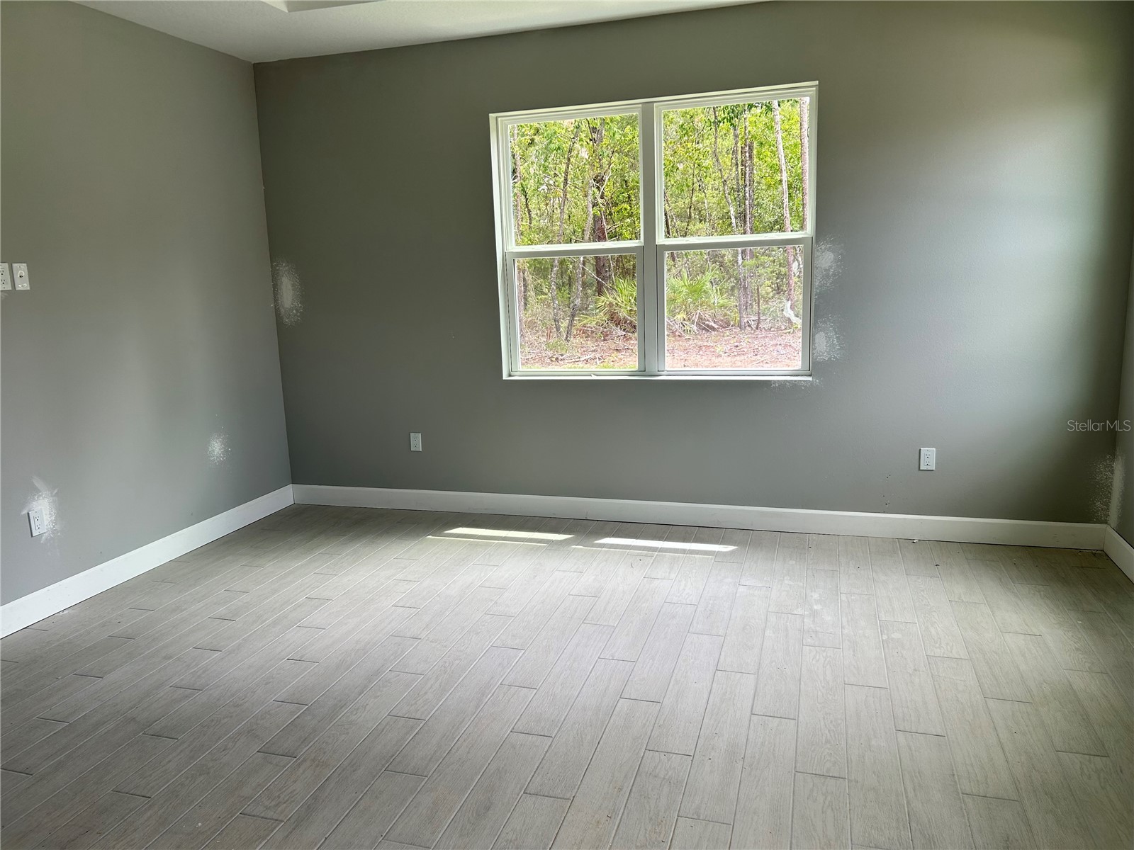 2628 W Scilla Drive Dunnellon FL 34434 P4938402 image8
