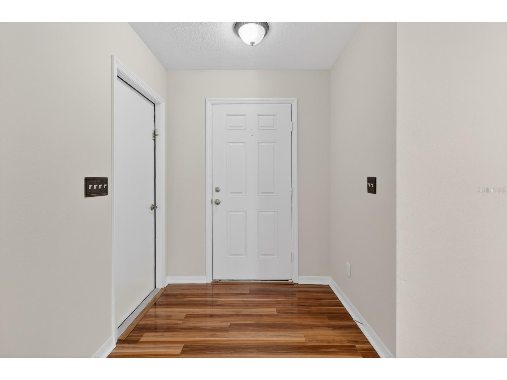 2629 Golden Antler Lane Lutz FL 33559 TB8503543 image10