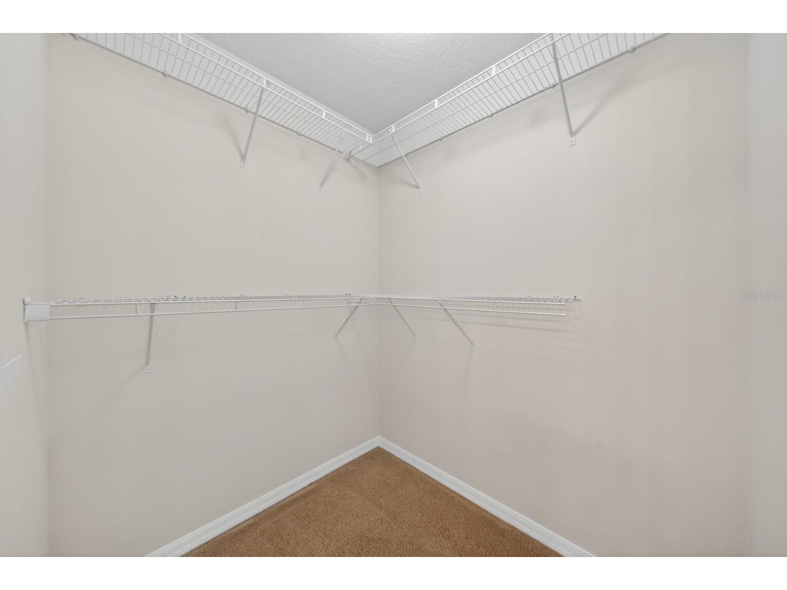 2629 Golden Antler Lane Lutz FL 33559 TB8503543 image42