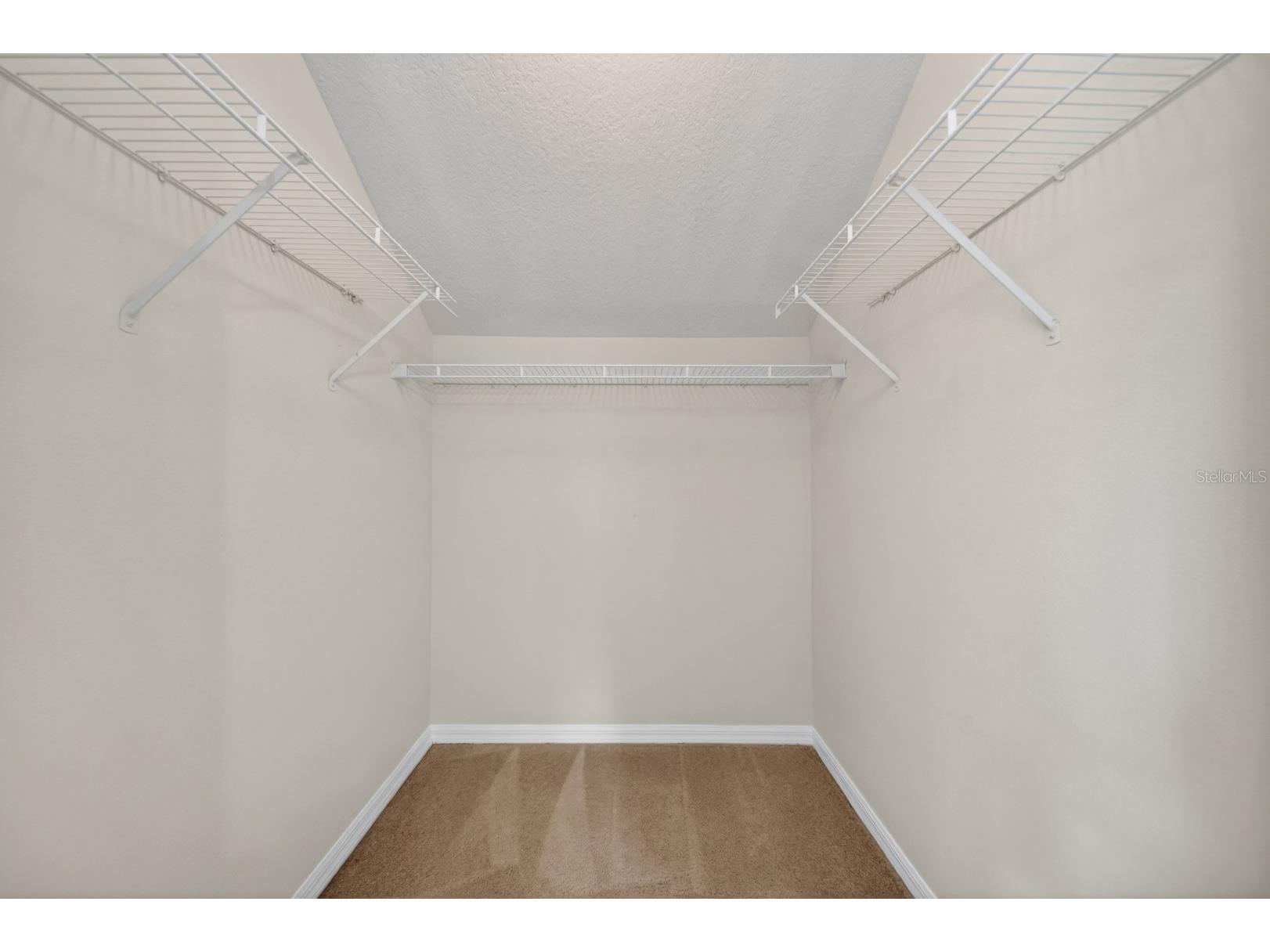 2629 Golden Antler Lane Lutz FL 33559 TB8503543 image51