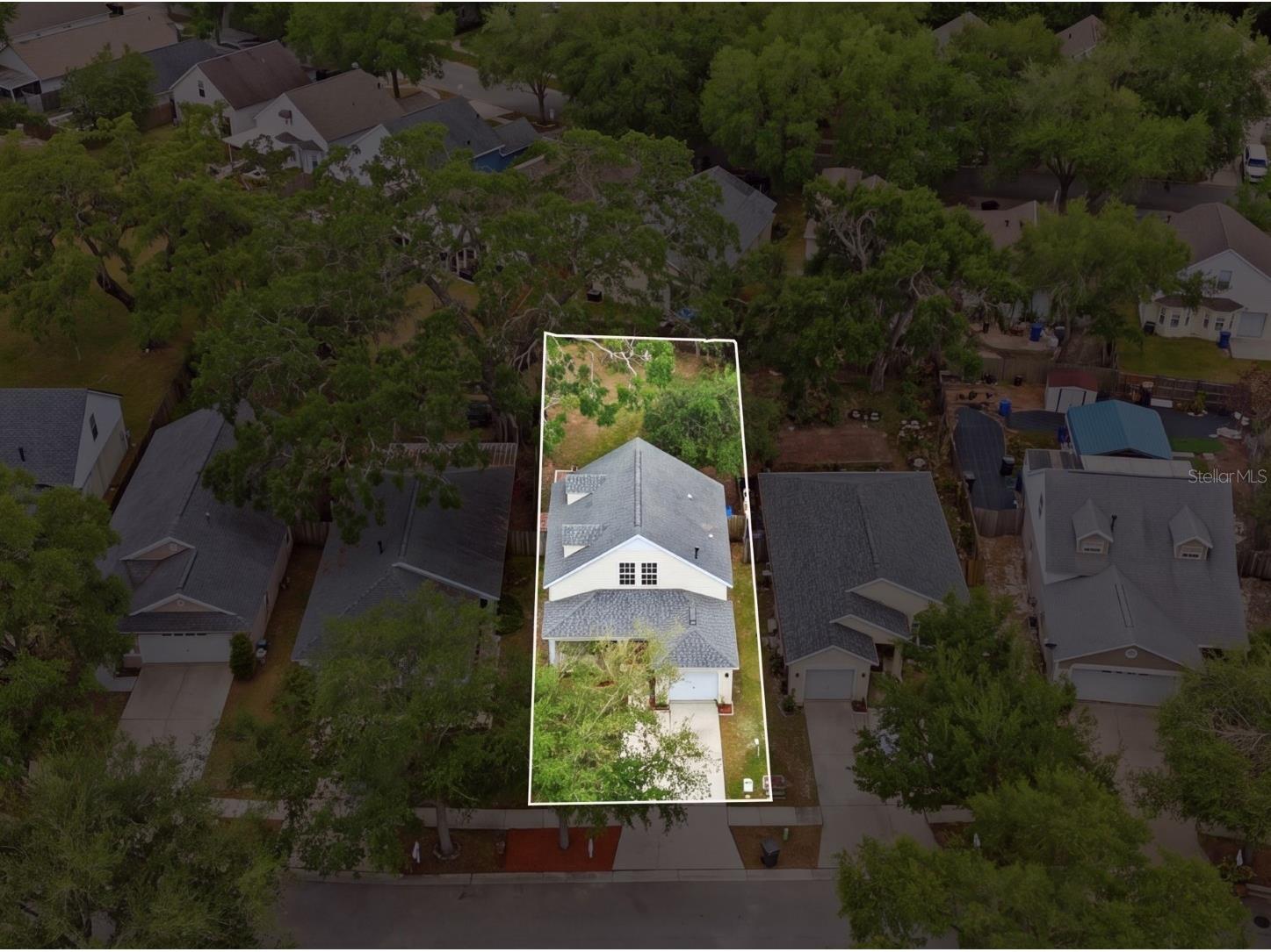 2629 Golden Antler Lane Lutz FL 33559 TB8503543 image71