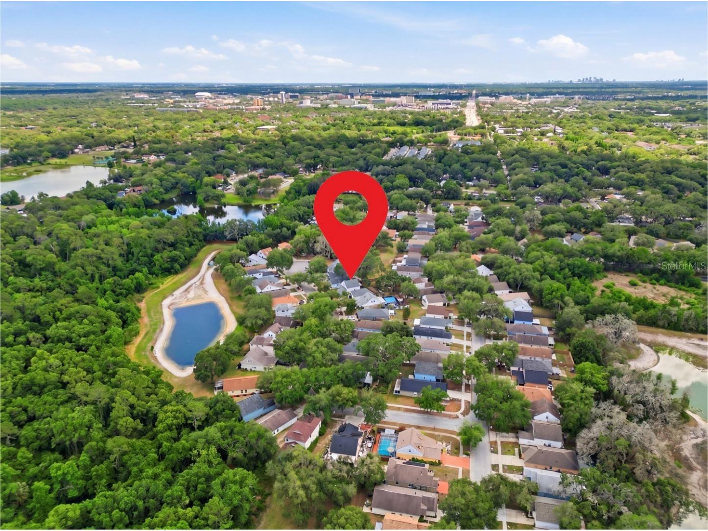2629 Golden Antler Lane Lutz FL 33559 TB8503543 image73