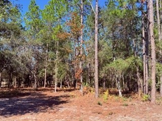 2629 NW 29th Terrace Bell FL 32619 GC536246 image23