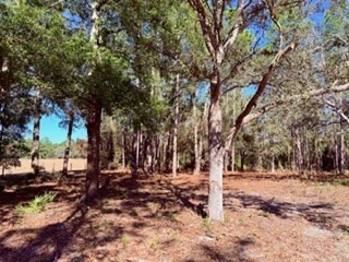 2629 NW 29th Terrace Bell FL 32619 GC536246 image24