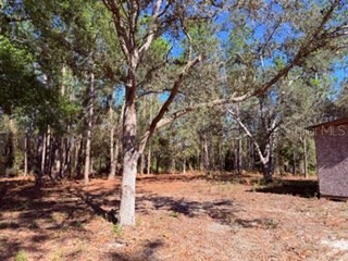 2629 NW 29th Terrace Bell FL 32619 GC536246 image25