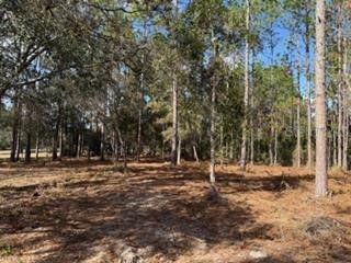 2629 NW 29th Terrace Bell FL 32619 GC536246 image30
