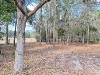 2629 NW 29th Terrace Bell FL 32619 GC536246 image31