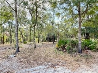 2629 NW 29th Terrace Bell FL 32619 GC536246 image32