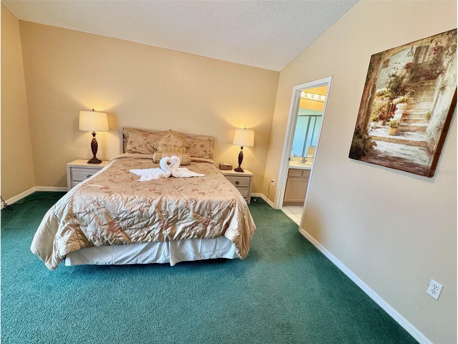 2629 Star Lake View Drive Kissimmee FL 34747 S5151228 image10