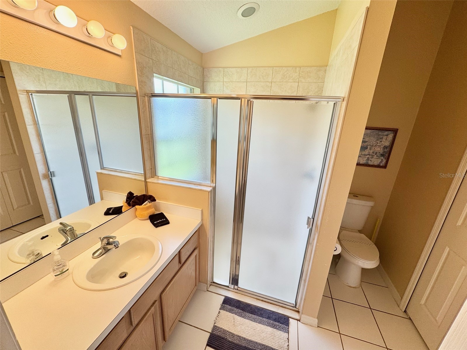 2629 Star Lake View Drive Kissimmee FL 34747 S5151228 image12