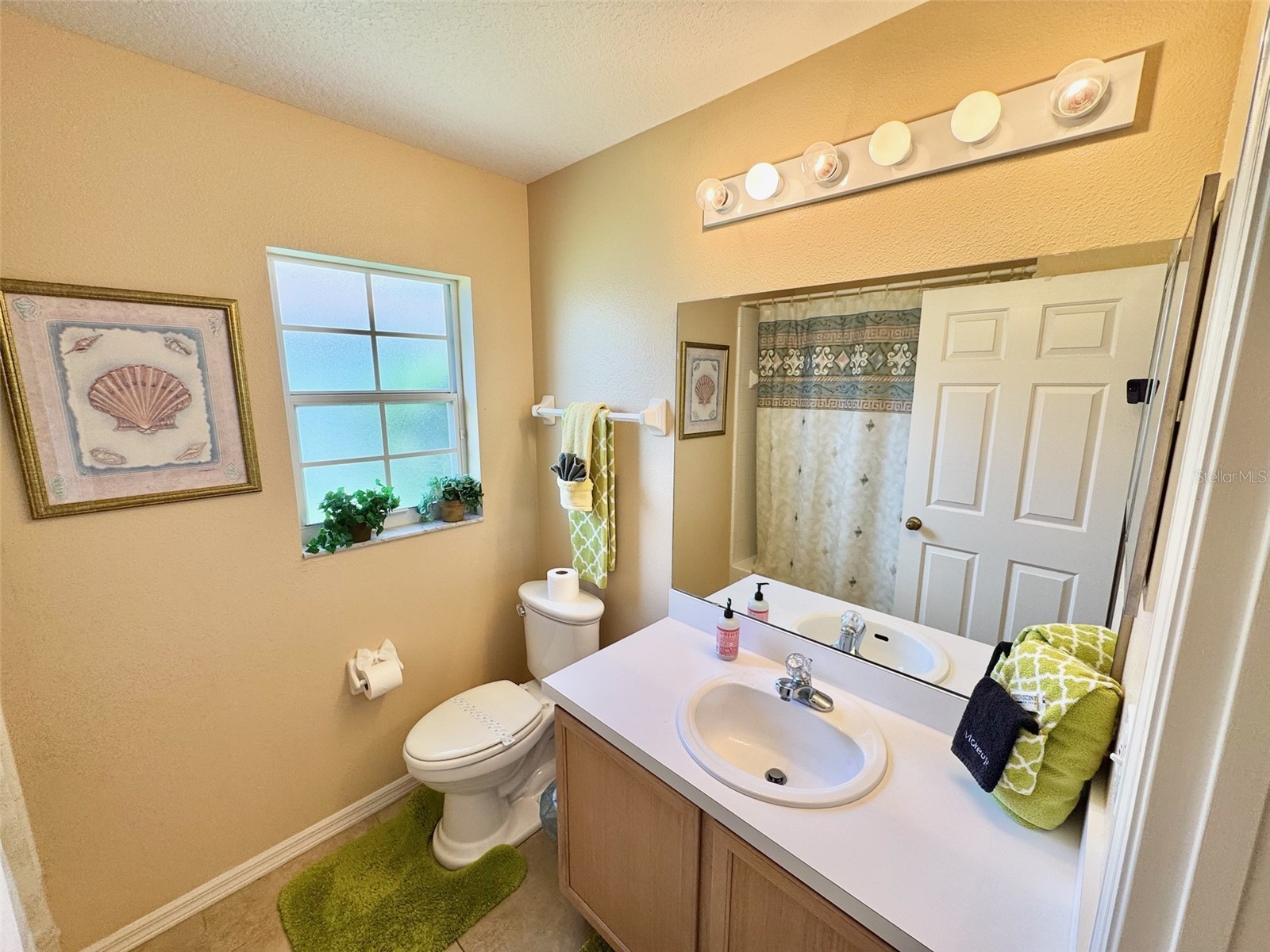 2629 Star Lake View Drive Kissimmee FL 34747 S5151228 image14