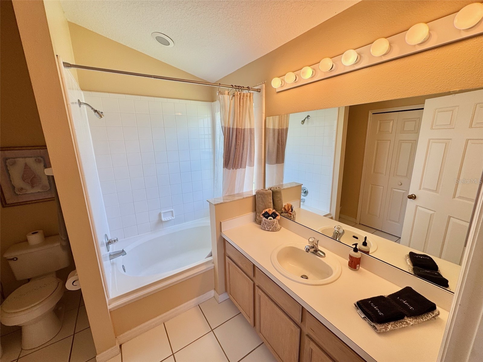 2629 Star Lake View Drive Kissimmee FL 34747 S5151228 image9