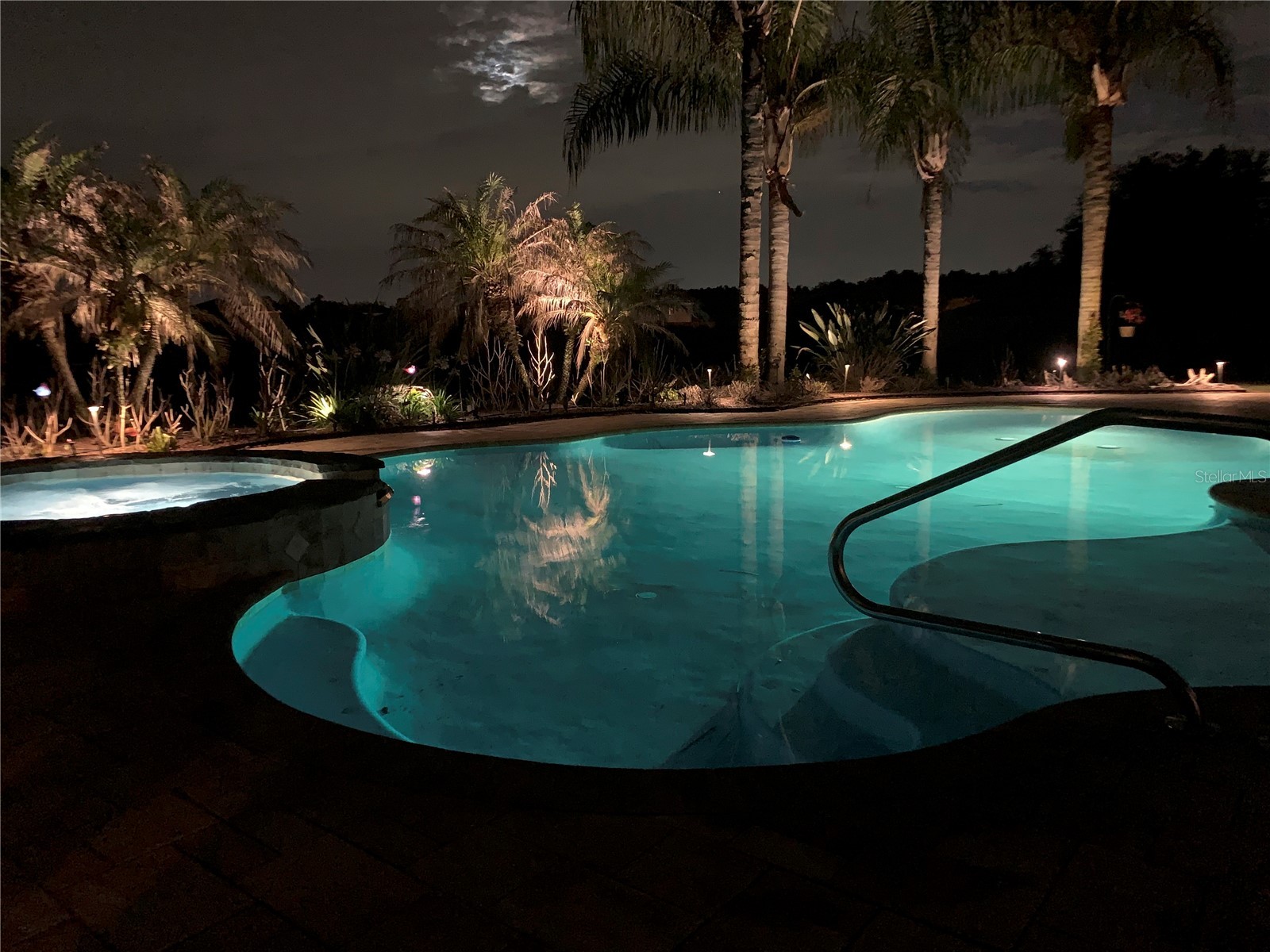 2629 Tree Meadow Loop Apopka FL 32712 O6423052 image38