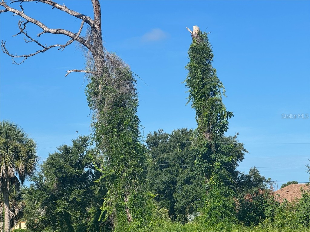 263 White Marsh Lane Rotonda West FL 33947 D6143185 image4