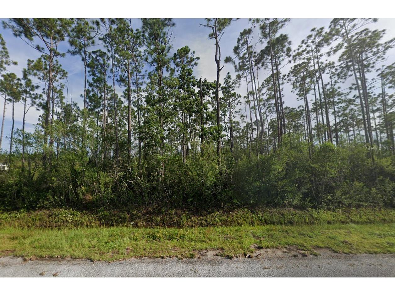 263 Wildwood Drive Panama City FL 32404 A4686555 image2
