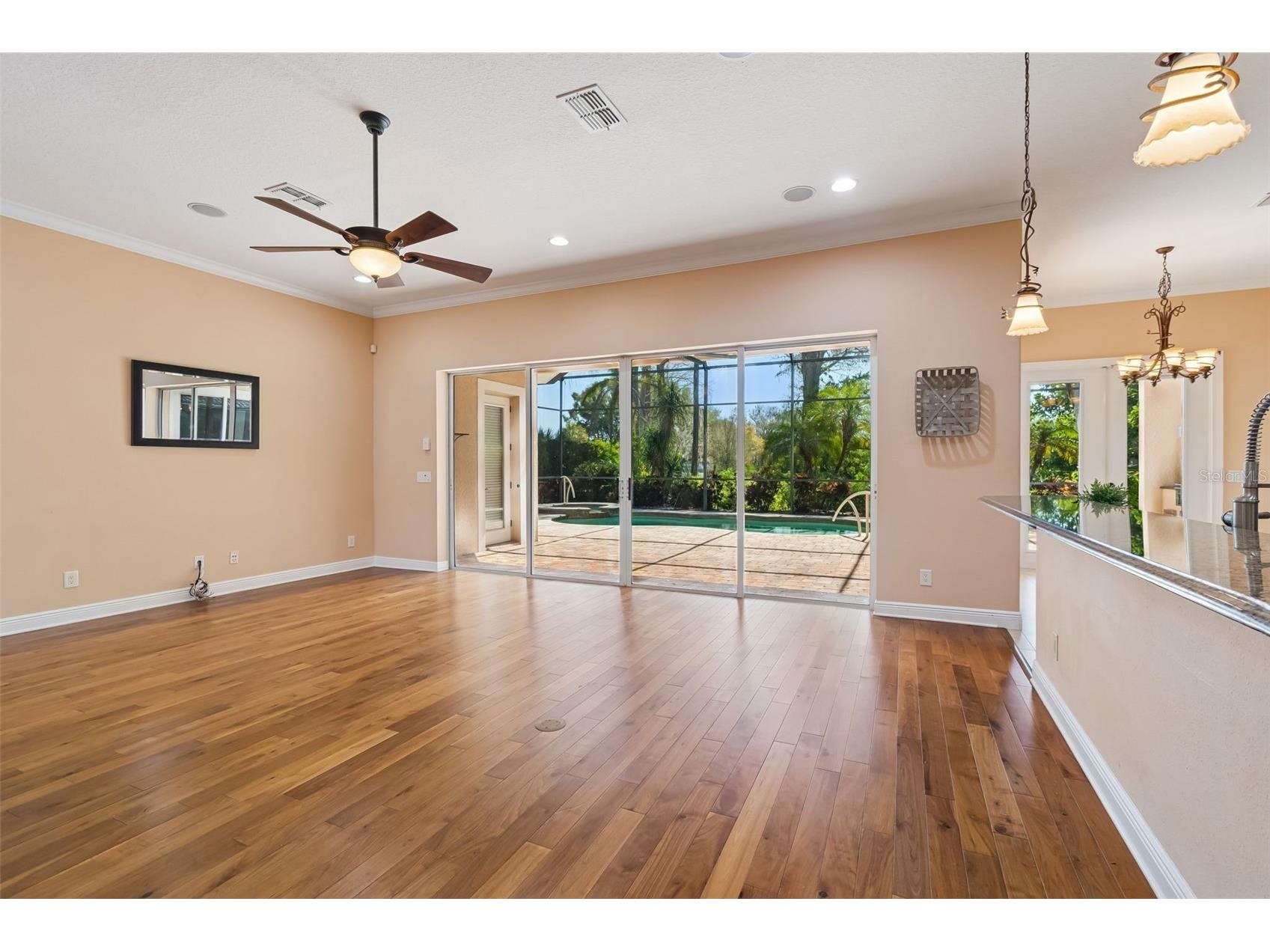 2630 Grand Lakeside Drive Palm Harbor FL 34684 TB8480712 image13
