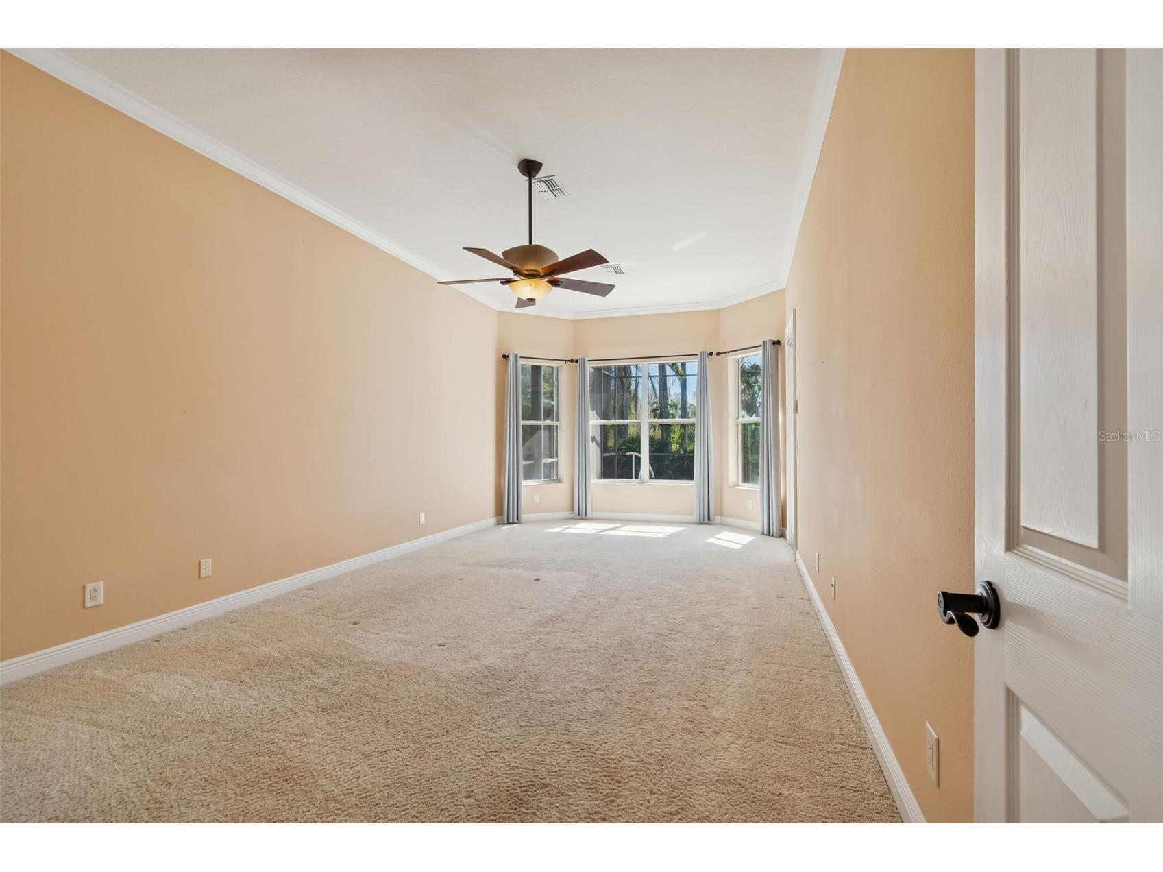 2630 Grand Lakeside Drive Palm Harbor FL 34684 TB8480712 image29