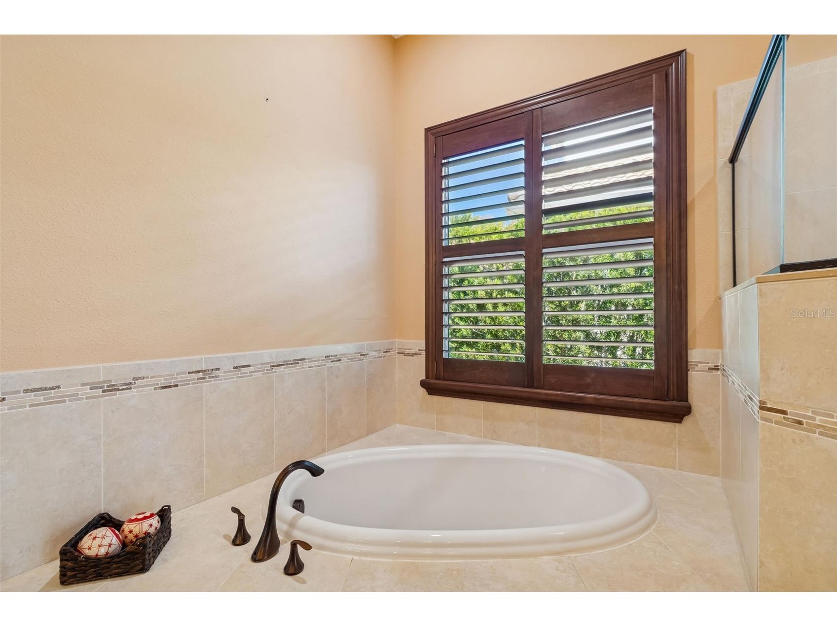 2630 Grand Lakeside Drive Palm Harbor FL 34684 TB8480712 image35