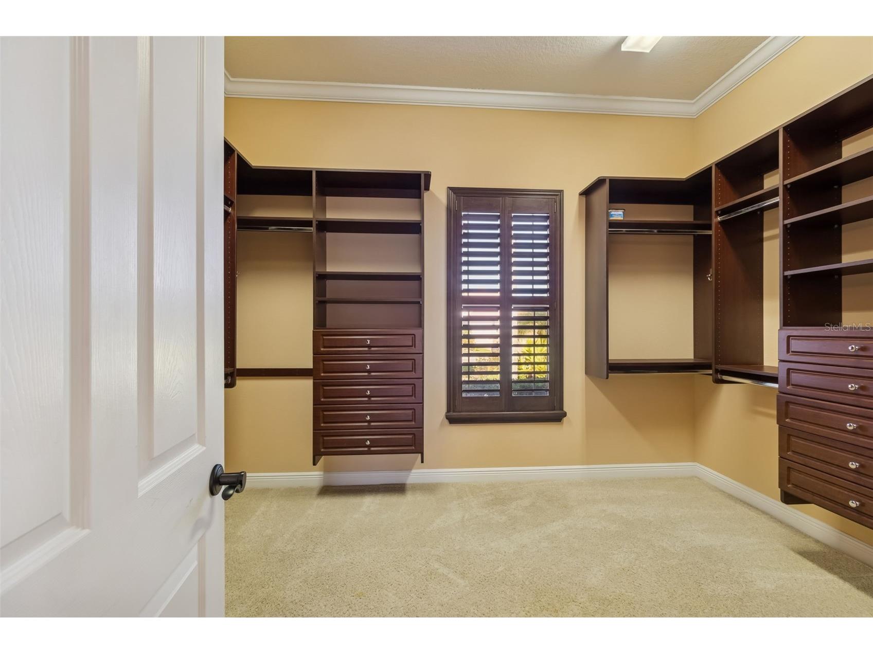 2630 Grand Lakeside Drive Palm Harbor FL 34684 TB8480712 image36