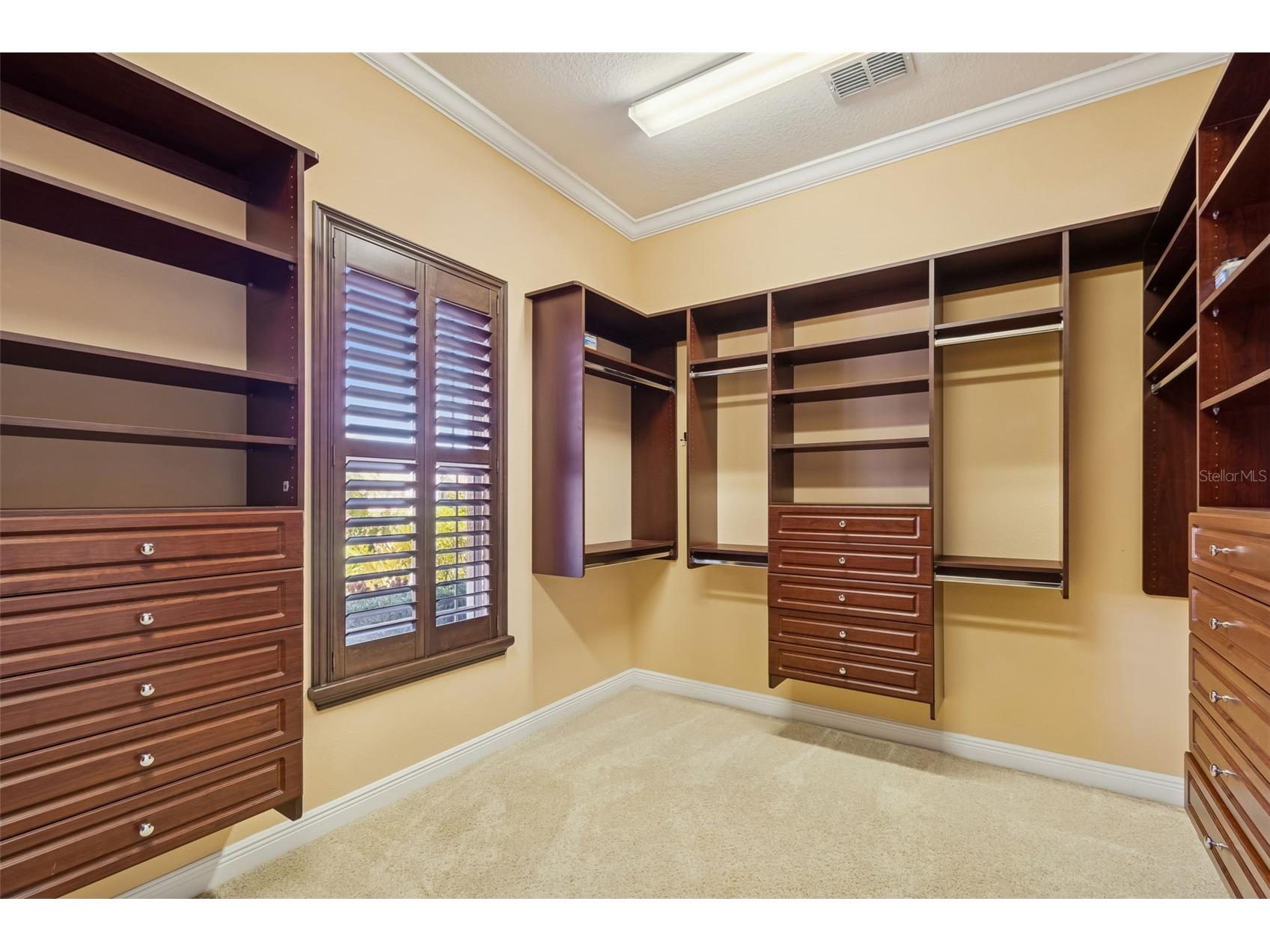 2630 Grand Lakeside Drive Palm Harbor FL 34684 TB8480712 image37