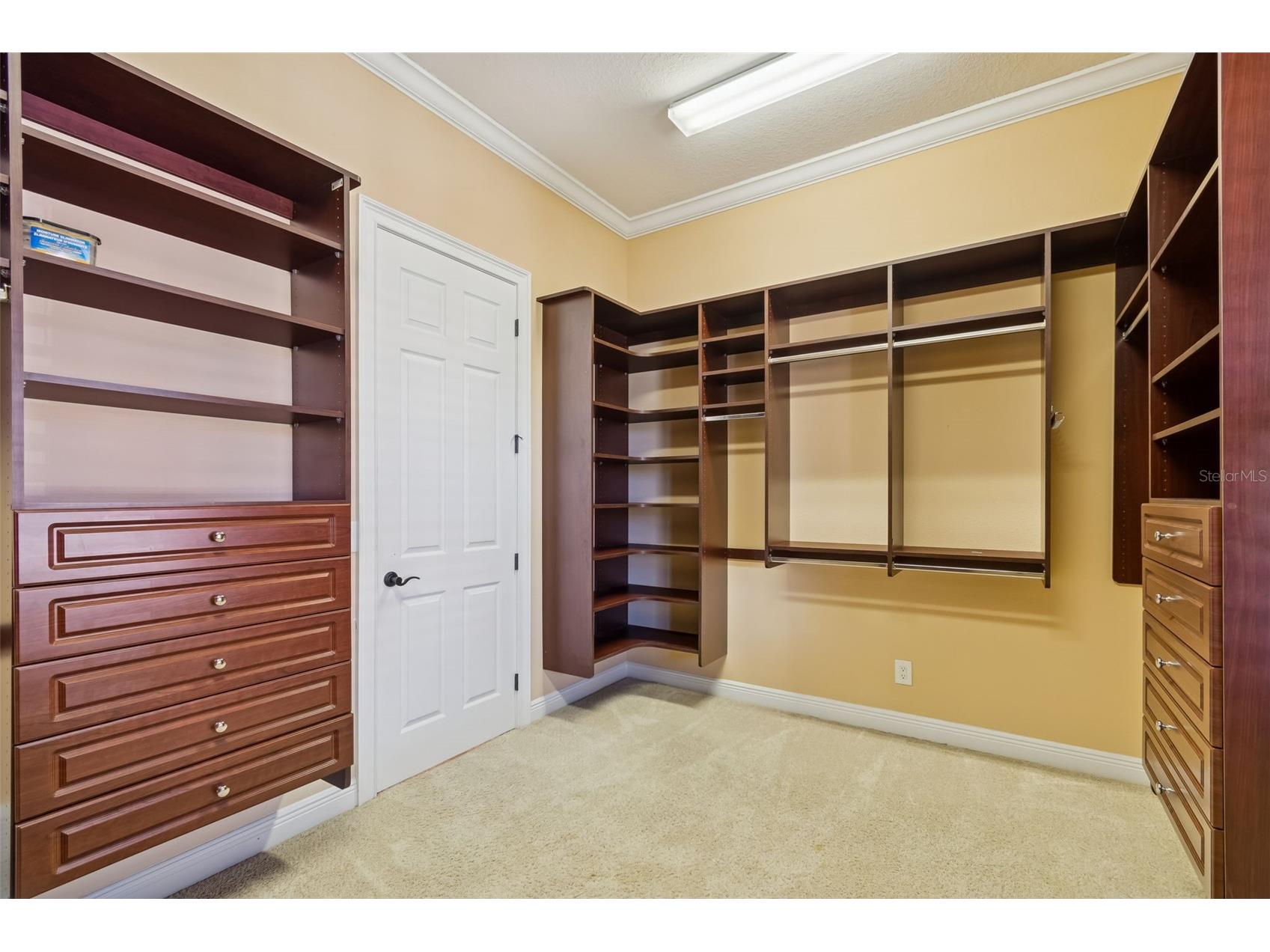 2630 Grand Lakeside Drive Palm Harbor FL 34684 TB8480712 image38