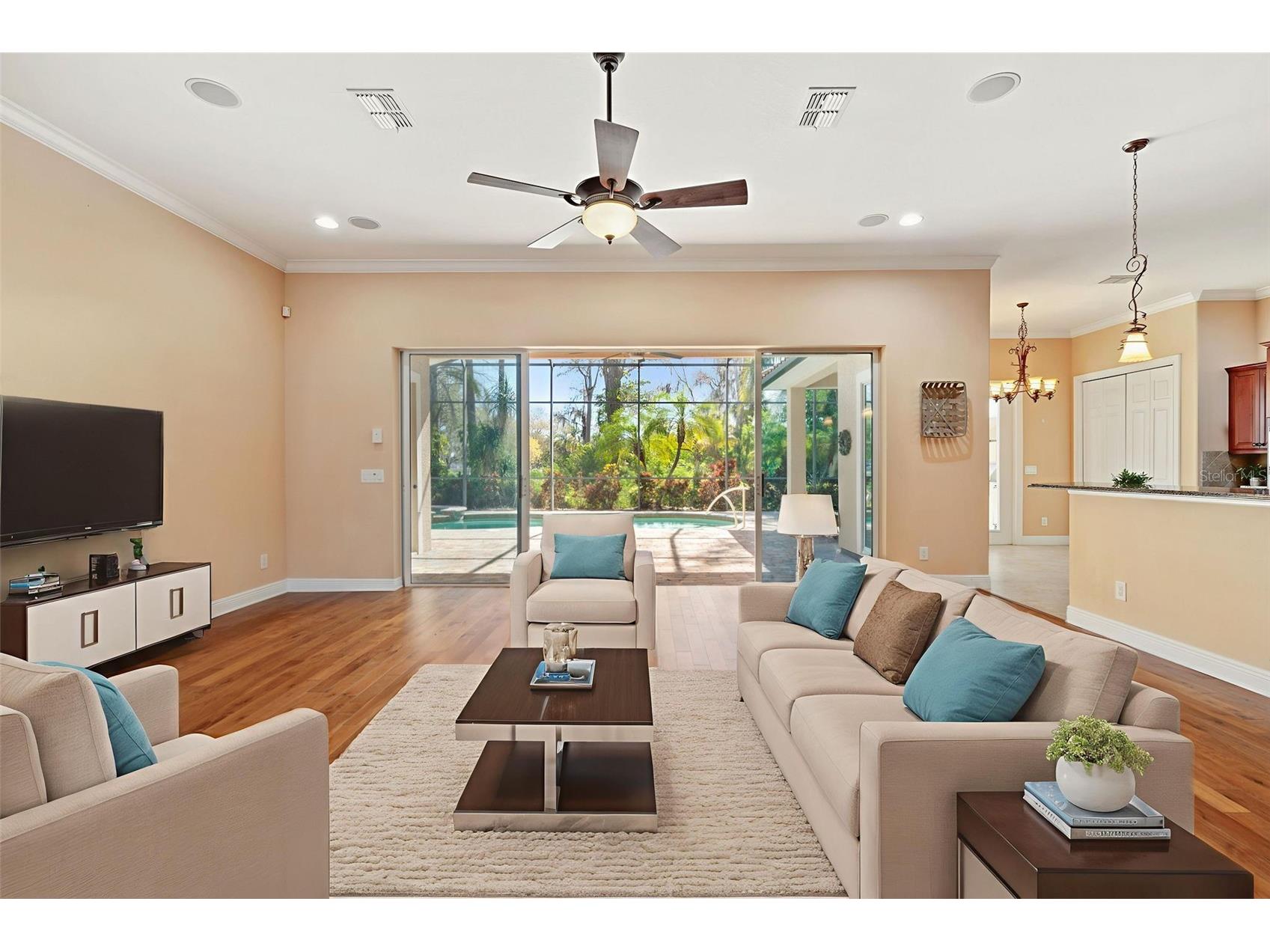 2630 Grand Lakeside Drive Palm Harbor FL 34684 TB8480712 image4