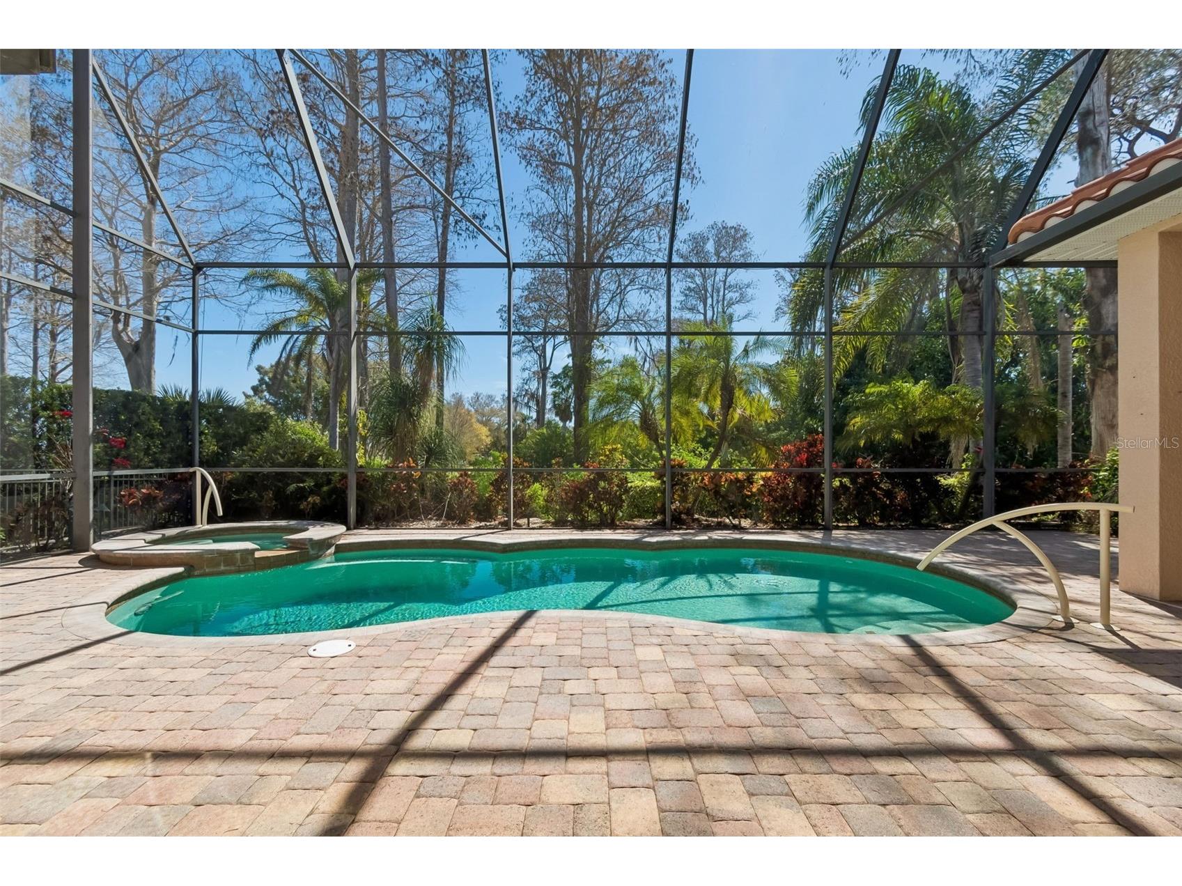 2630 Grand Lakeside Drive Palm Harbor FL 34684 TB8480712 image7