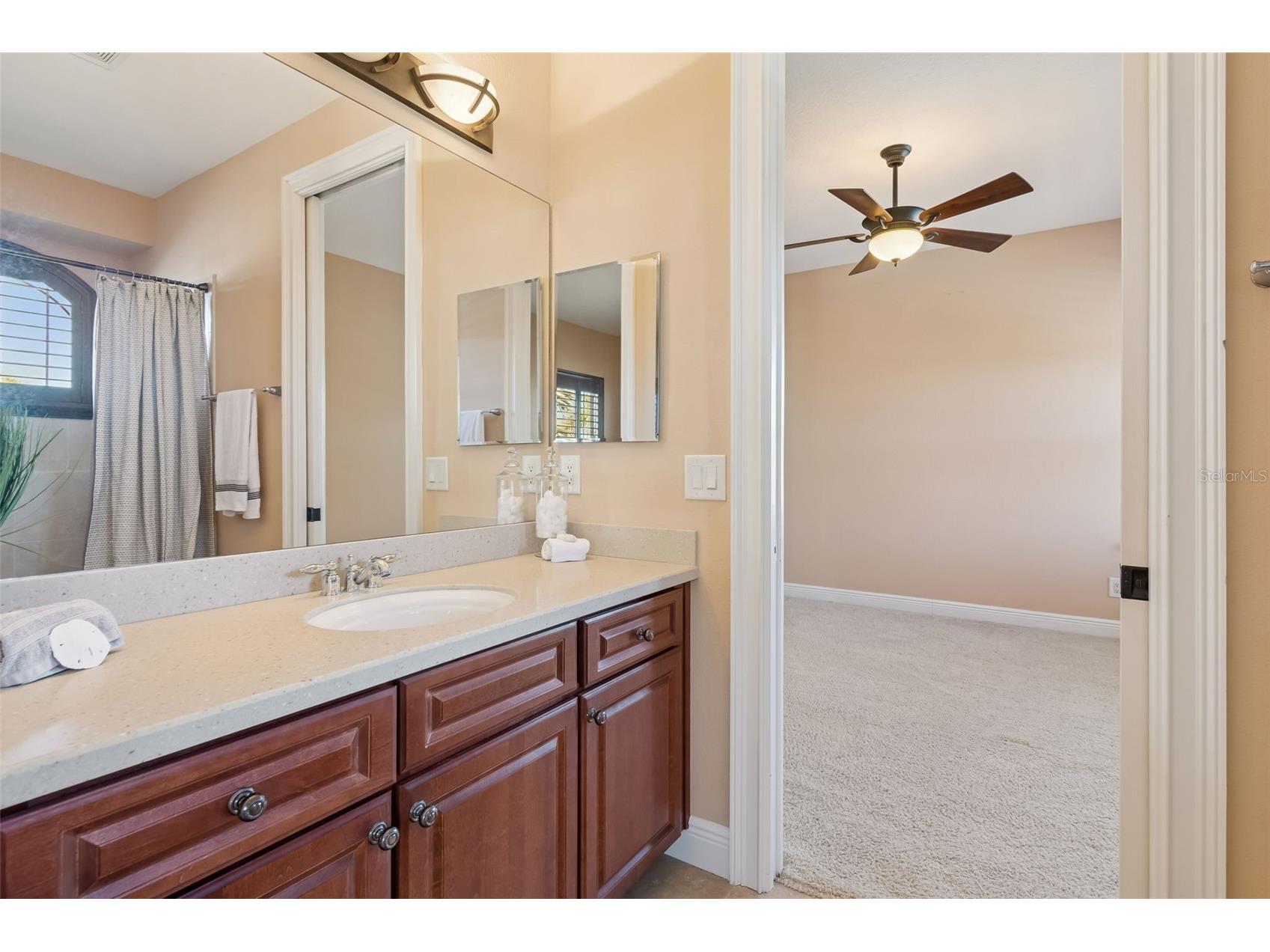 2630 Grand Lakeside Drive Palm Harbor FL 34684 TB8480712 image71