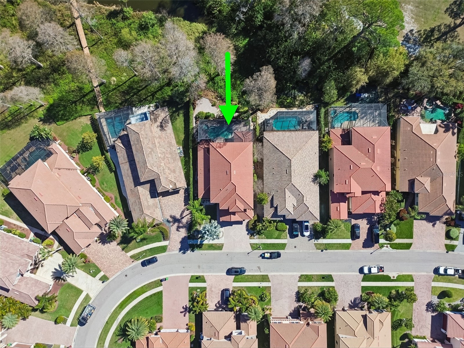 2630 Grand Lakeside Drive Palm Harbor FL 34684 TB8480712 image94