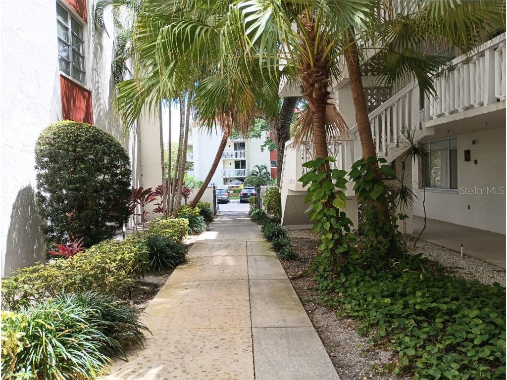 2630 Pearce Drive #103 Clearwater FL 33764 TB8351139 image1