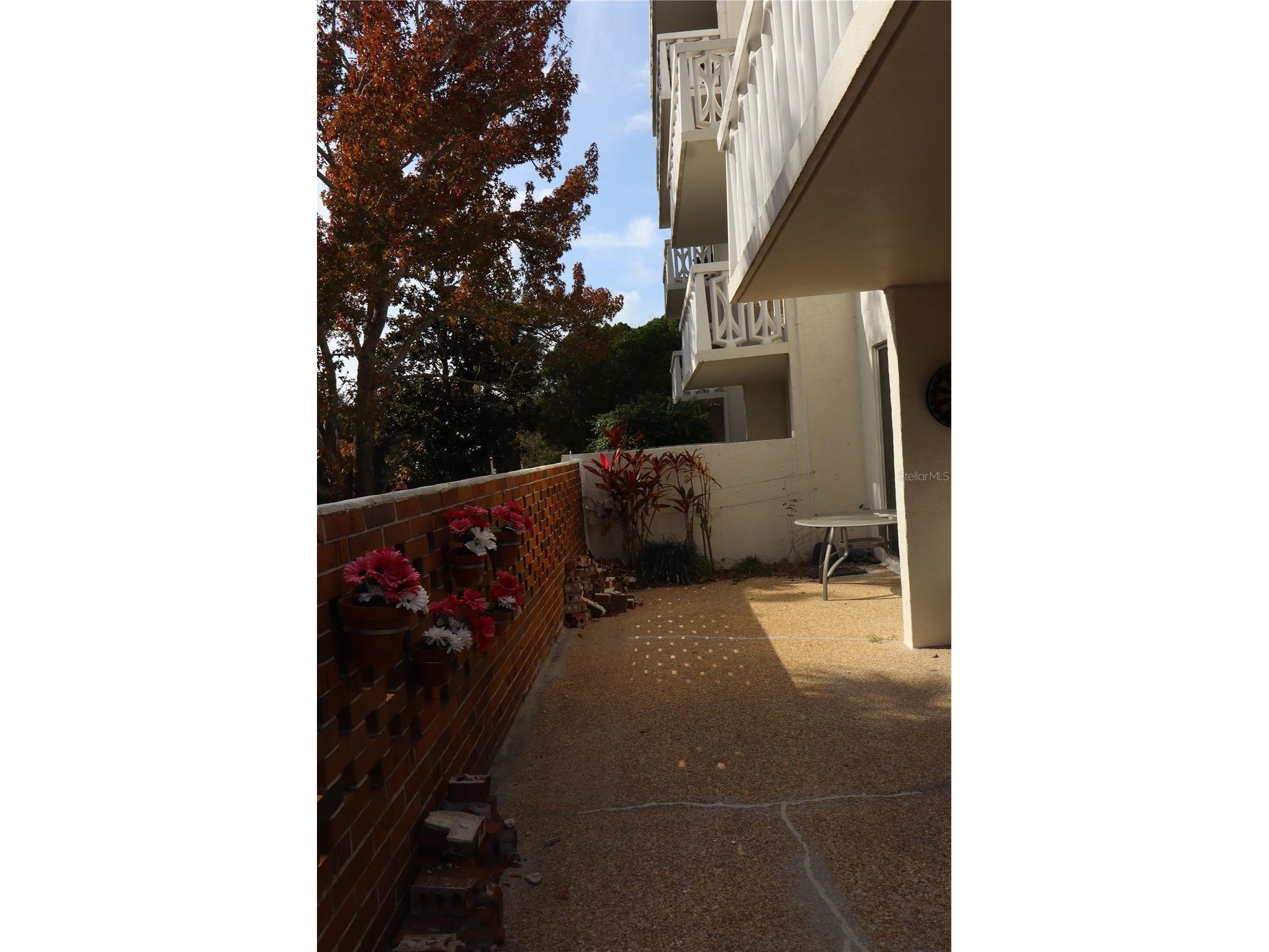 2630 Pearce Drive #104 Clearwater FL 33764 TB8463905 image18