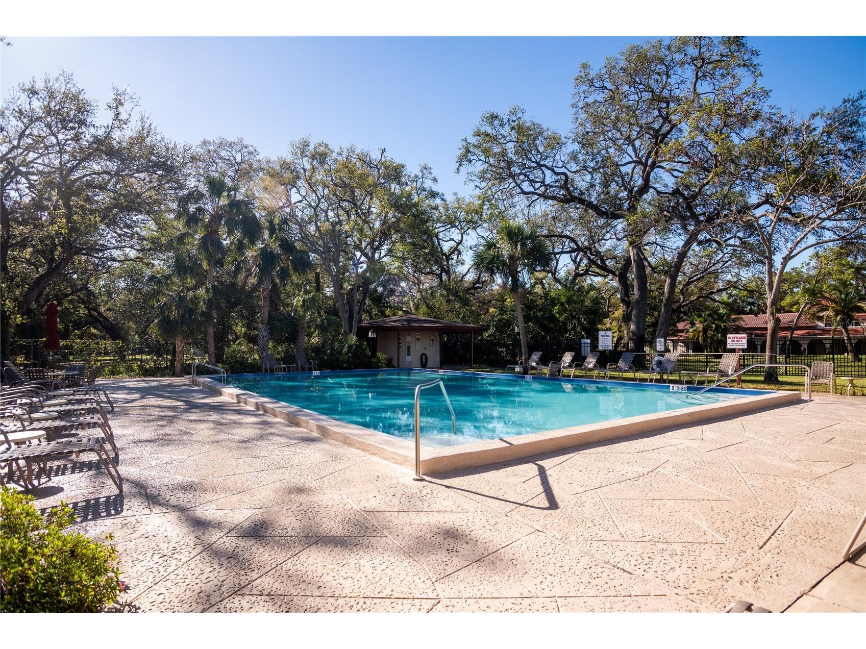 2630 Pearce Drive #104 Clearwater FL 33764 TB8463905 image23