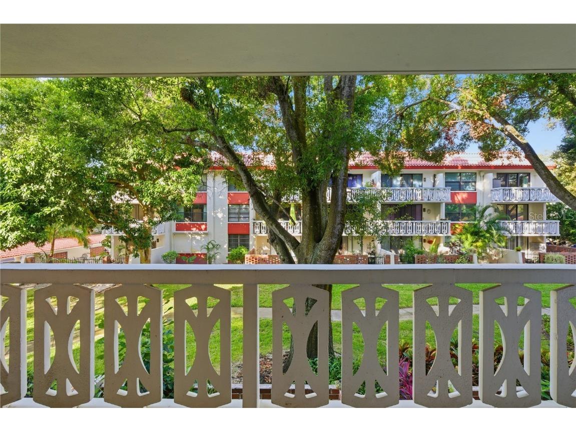 2630 Pearce Drive #208 Clearwater FL 33764 TB8440694 image23