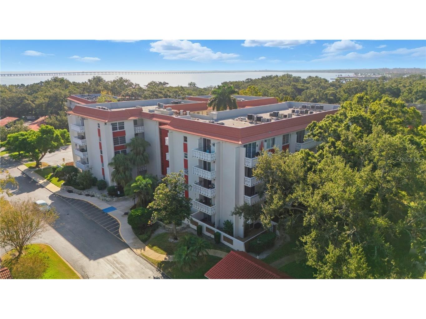 2630 Pearce Drive #208 Clearwater FL 33764 TB8441149 image4