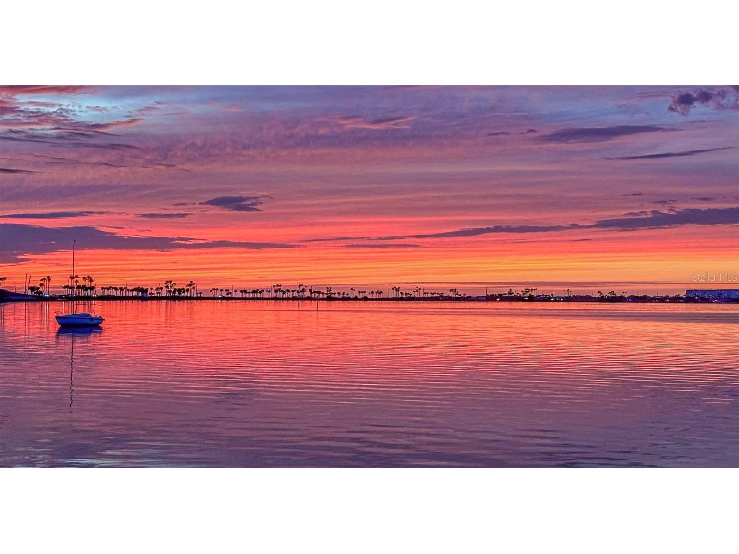 2630 St Josephs Drive W Dunedin FL 34698 - GULF OF AMERICA TB8405068 image1