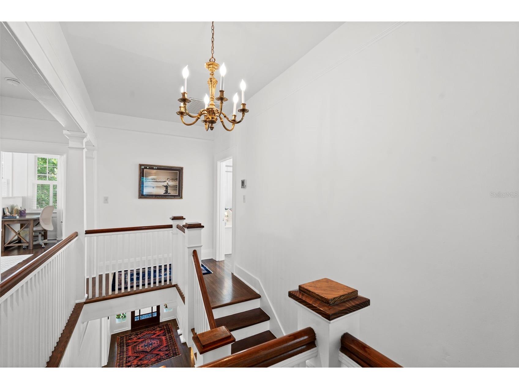 2630 W Prospect Road Tampa FL 33629 TB8523834 image96