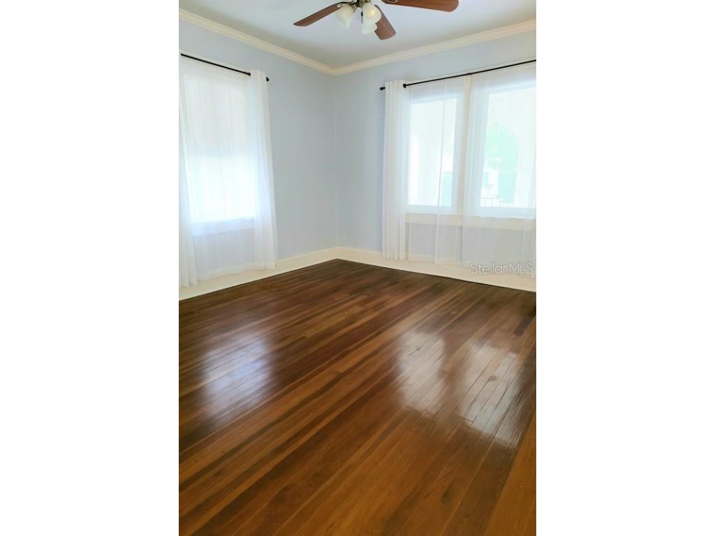 2630 W Sunset Drive Tampa FL 33629 A4669870 image12