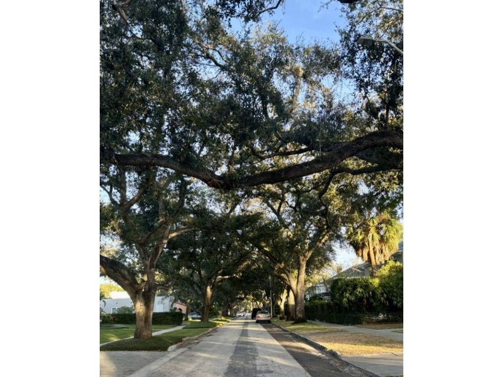 2630 W Sunset Drive Tampa FL 33629 A4669870 image13